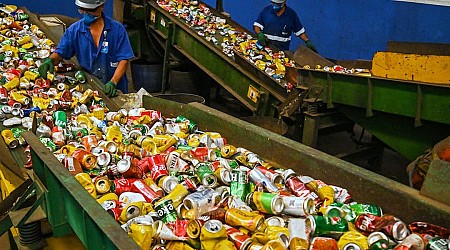 Why the US loses $800 million a year in unrecycled aluminum cans