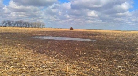 S.D. farmer's fight with USDA over 'puddle' tests new era of regulatory reach