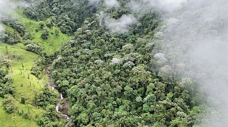 Modern mass extinction in an Ecuadorean cloud forest found to be a mirage