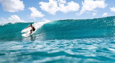 New Surfing Series Helps Hawaii Locals Earn $31 Million as North Shore Lifeguards’ Dangerous Job Gets Highlighted