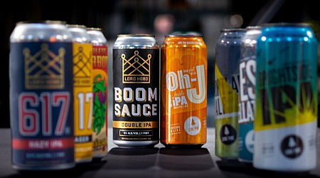 Looking to ‘thrive rather than survive,’ Lord Hobo merges with Maine’s Lone Pine Brewing