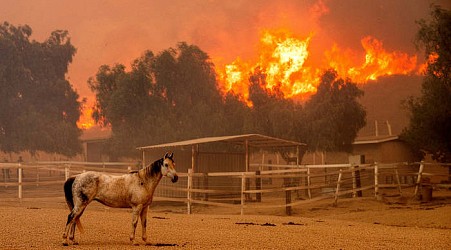 Southern California wildfire destroys 132 structures as officials look for fierce winds to subside