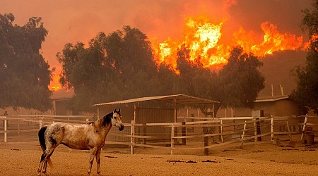 Southern California Wildfire Destroys 132 Structures as Officials Look for Fierce Winds to Subside