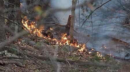 'Climate change is real': New York firefighter killed as historic drought fuels blazes