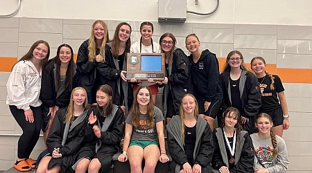 Central MN to be Well Represented at State Swim/Dive Meet