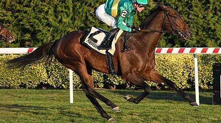 Lane's End Farm has banner weekend in U.S. turf racing