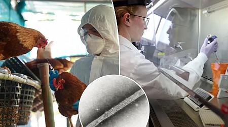 Canada detects first presumptive human H5 bird flu case