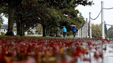 Environment Canada warns of possible damage as ‘intense’ storm approaches B.C. coast