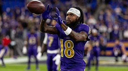 Diontae Johnson to see increased workload as Ravens WR faces former Steelers team in Week 11