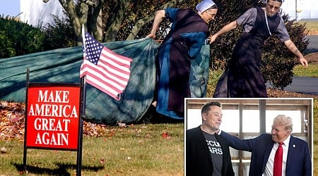 How Donald Trump won Pennsylvania's Amish vote - with the help of missionaries and Elon Musk