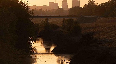 Where food inspectors in Topeka found bed bugs, moldy icing and plumbing issues