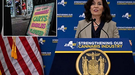 NY can support at least 1,000 more legal pot shops if state can crush illicit vendors: study