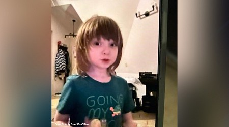 Boy, 5, with autism goes missing from Oregon home during nap with mom: Sheriff