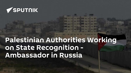 Palestinian Authorities Working on State Recognition - Ambassador in Russia