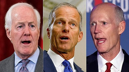 Thune, Cornyn and Scott to make their case for next Republican Senate leader