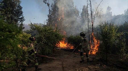 Chile declara alerta roja por incendios forestales en cinco comunas; el fuego afecta más de 300 hectáreas