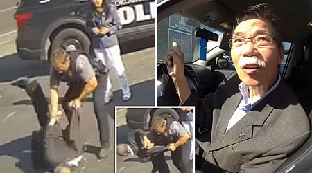 Elderly man Lich Vu seriously injured when cop shoves him to the ground: video