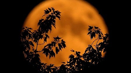 Not just a hunter's moon. October's full moon is also a supermoon. When to watch