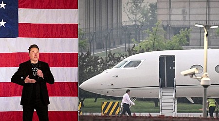 Flight logs show Elon Musk's private jets are busy hitting swing states as he campaigns for Trump