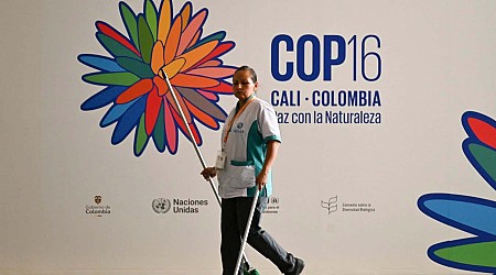 What to expect at the COP16 biodiversity summit