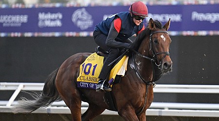 Betting the Breeders' Cup: Is it time for City of Troy?