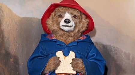 Google ganha easter egg com sanduíches do filme Paddington; veja como acessar