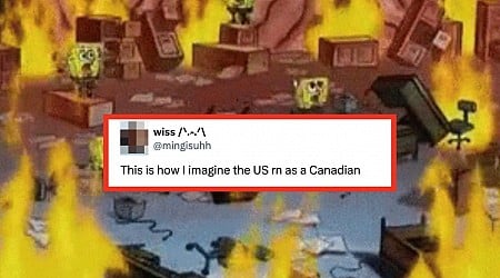 Canadians On X Are Reacting To The US Election, And It's The Funniest Thing On The Internet Right Now