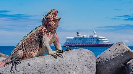 19 Cruise Lines That Sail Around the Galápagos Islands, From the Cheapest to the Most Expensive