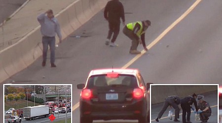 Driver struck and killed walking across highway where people were grabbing loose cash