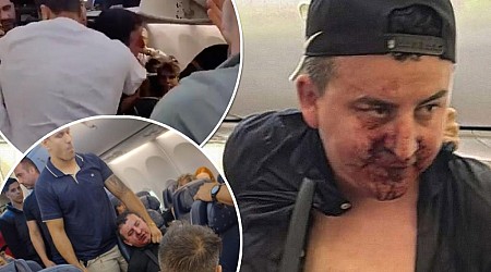 Passengers tries to open plane door inflight, receives an epic beatdown