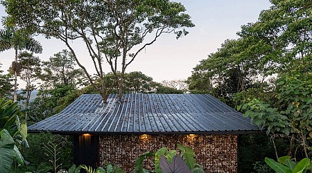 This Beautiful Lodging In The Amazonian Rainforest Is Built Around A Pigüe Tree