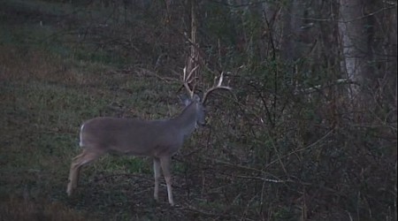 Deer hunting with firearms begins in southeast Louisiana Saturday