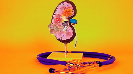 13 Superfoods to Supercharge Your Kidneys