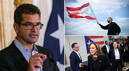 Puerto Rico's statehood referendum was a ploy for Democrat seats in Congress