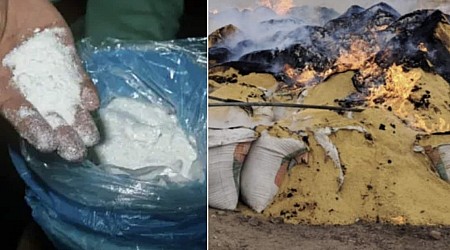 COCA PRO NOBIS – LA BOLIVIA HA DISTRUTTO 21,6 TONNELLATE DI COCAINA PURISSIMA, FRUTTO DEL PIÙ GRANDE SEQUESTRO DI DROGA NELLA STORIA DEL PAESE ANDINO – IL CARICO RECORD DI POLVERE BIANCA, CHE ERA NASCOSTA DENTRO SACCHI DI SOIA, ERA DESTINATO ALLA GERMANIA