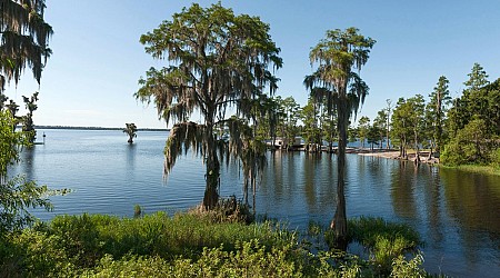 Some Counties Voted for Trump and Approved Climate and Conservation Measures