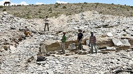 Utah fossil is a clue to the origins of animals with bones