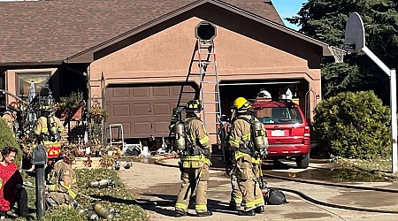 UPDATE: Five dogs dead in Colorado Springs house fire