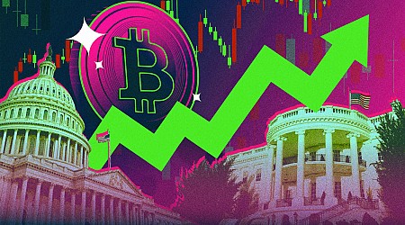 Why Bitcoin, Bank Stocks, and More Are Surging After Trump's Win