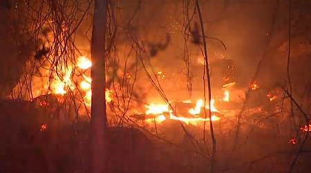 Blue Hills Reservation brush fire burns in Milton, MA