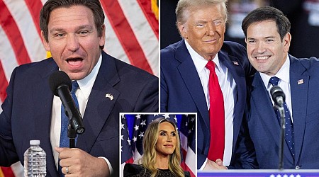 Ron DeSantis says Marco Rubio replacement senator must have 'proven record of results' as MAGA pushes for Lara Trump appointment