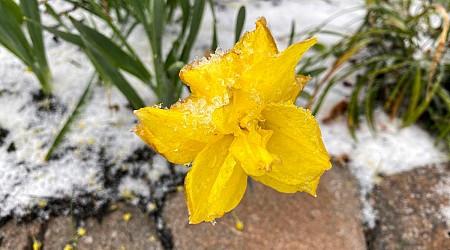 First snow in Staunton? Get ready for temperatures to plummet later this week