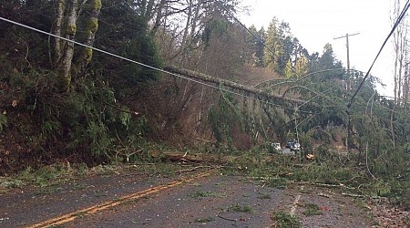 Environment Canada warns of very windy conditions in northern B.C. areas Nov. 19 and 20