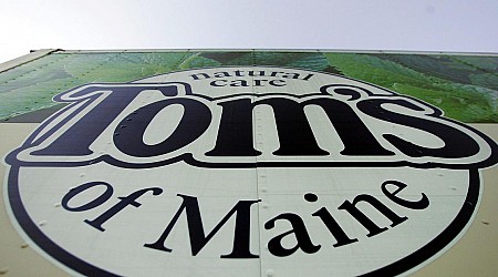 Tom's of Maine toothpaste made with bacteria-tainted water, FDA warns. Here are the details.