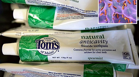 Tom's of Maine toothpaste made with bacteria-contaminated water: FDA