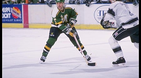 Should The NHL Give The North Stars Name And History Back To MN?