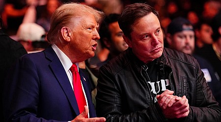 Photos show Donald Trump and Elon Musk's post-election bromance