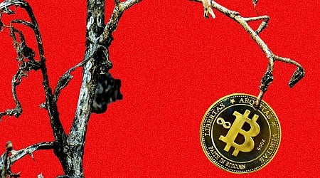 In the Kentucky Mountains, a Bitcoin Mining Dream Becomes the Stuff of Nightmares