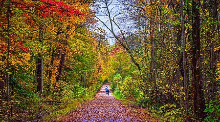 What fall looks like in every state