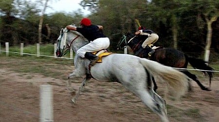 Carreras cuadreras: una tradicional competencia siempre esperada